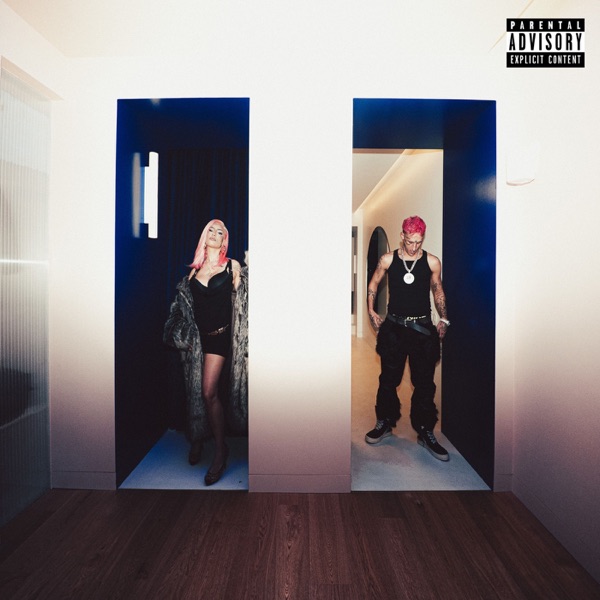 BAILANDO EL DEMBOW - Single album cover