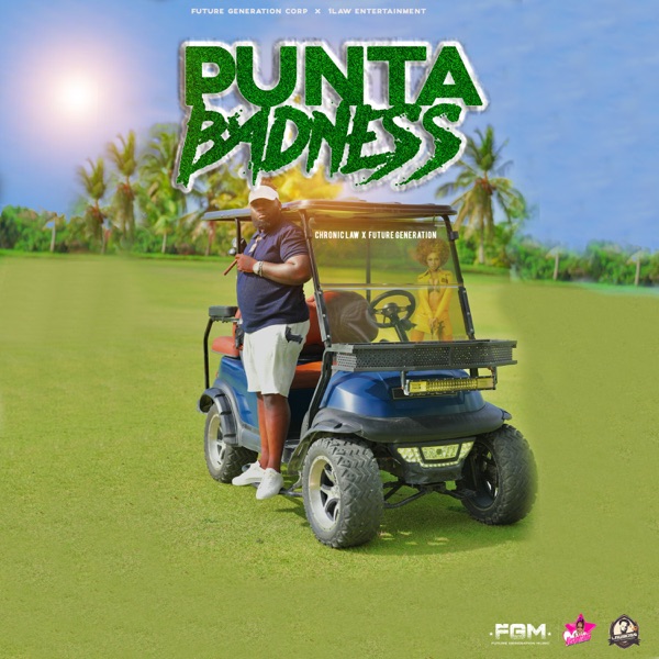 Punta Badness - Single album cover
