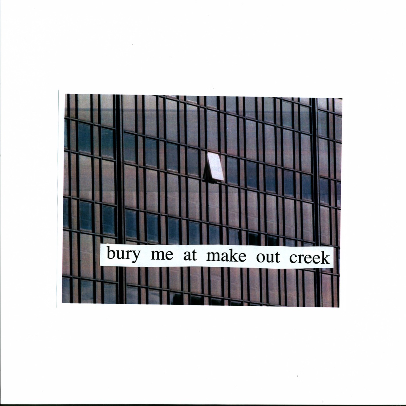 Bury Me At Makeout Creek album cover