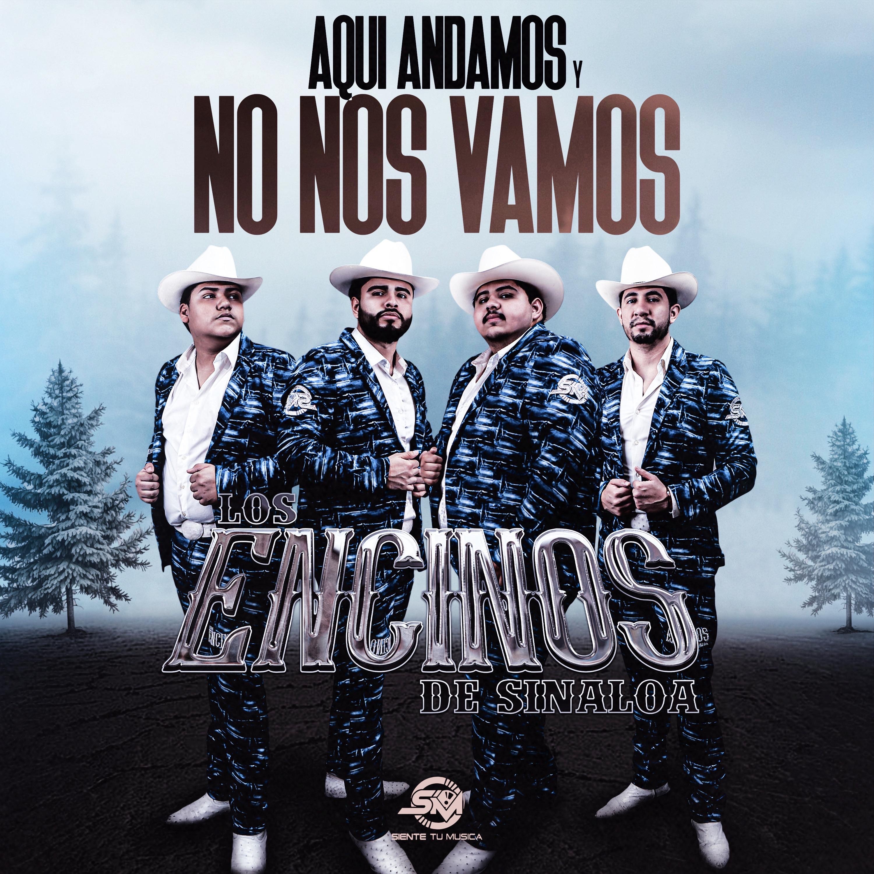 Aquí Andamos Y No Nos Vamos album cover
