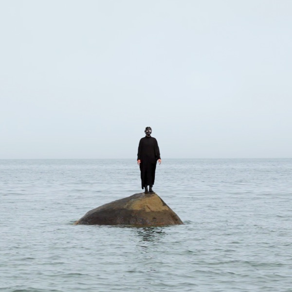 Fixe - Single album cover