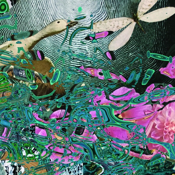 White Bird album cover