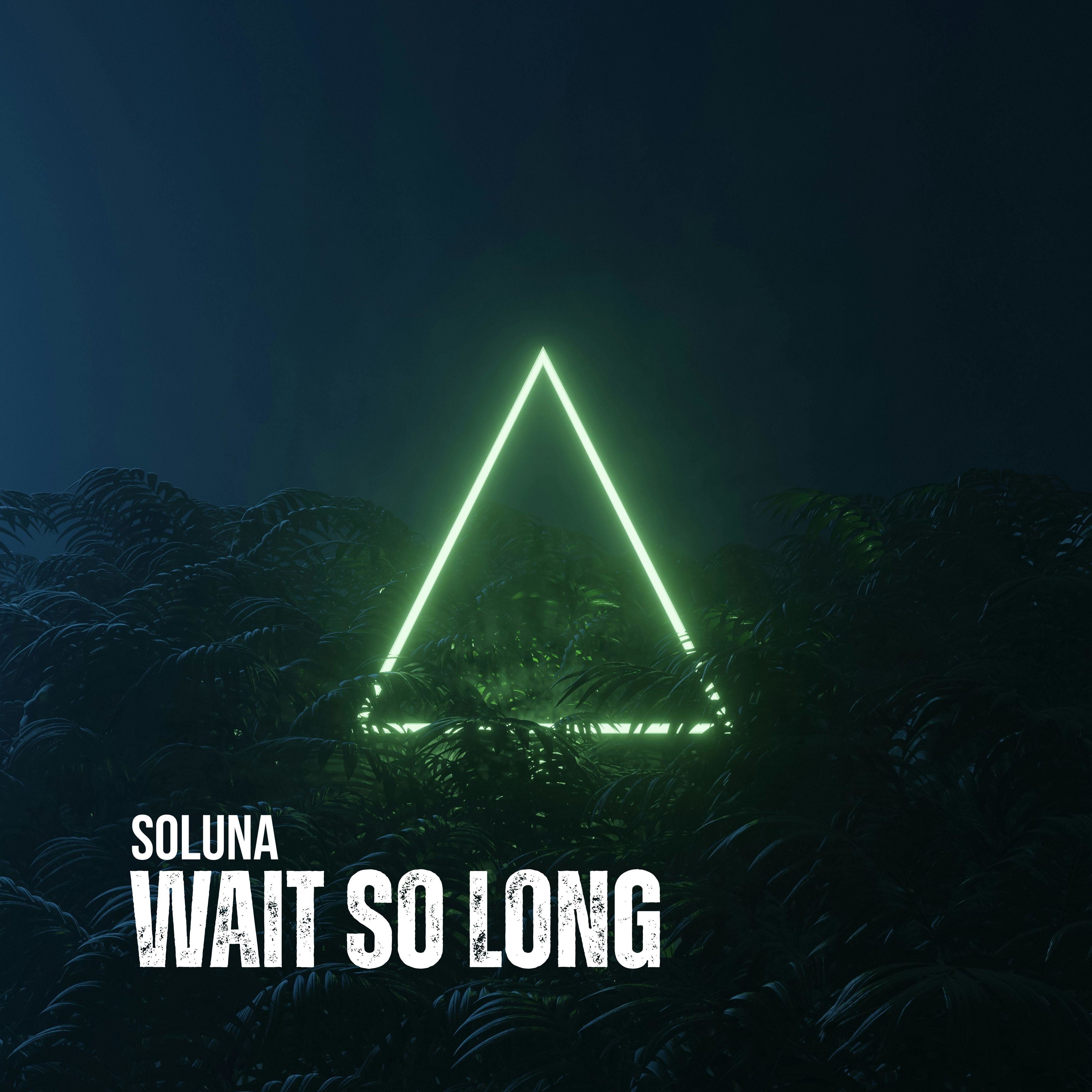 Wait so Long - Single album cover