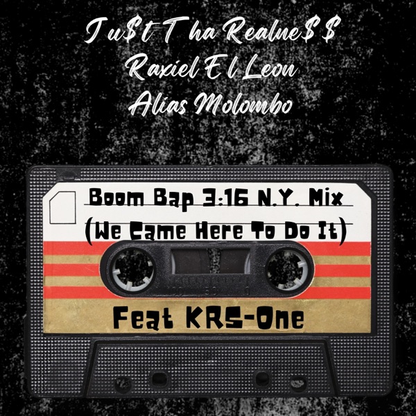Boom Bap 3:16 N.Y. Mix (We Came Here To Do It) (feat. KRS-One) - Single album cover