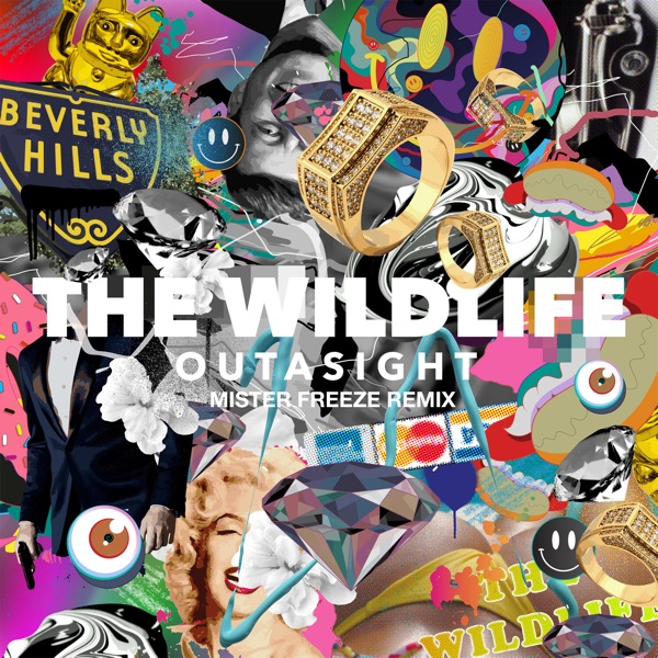 The Wild Life (Mister Freeze Remix) - Single album cover