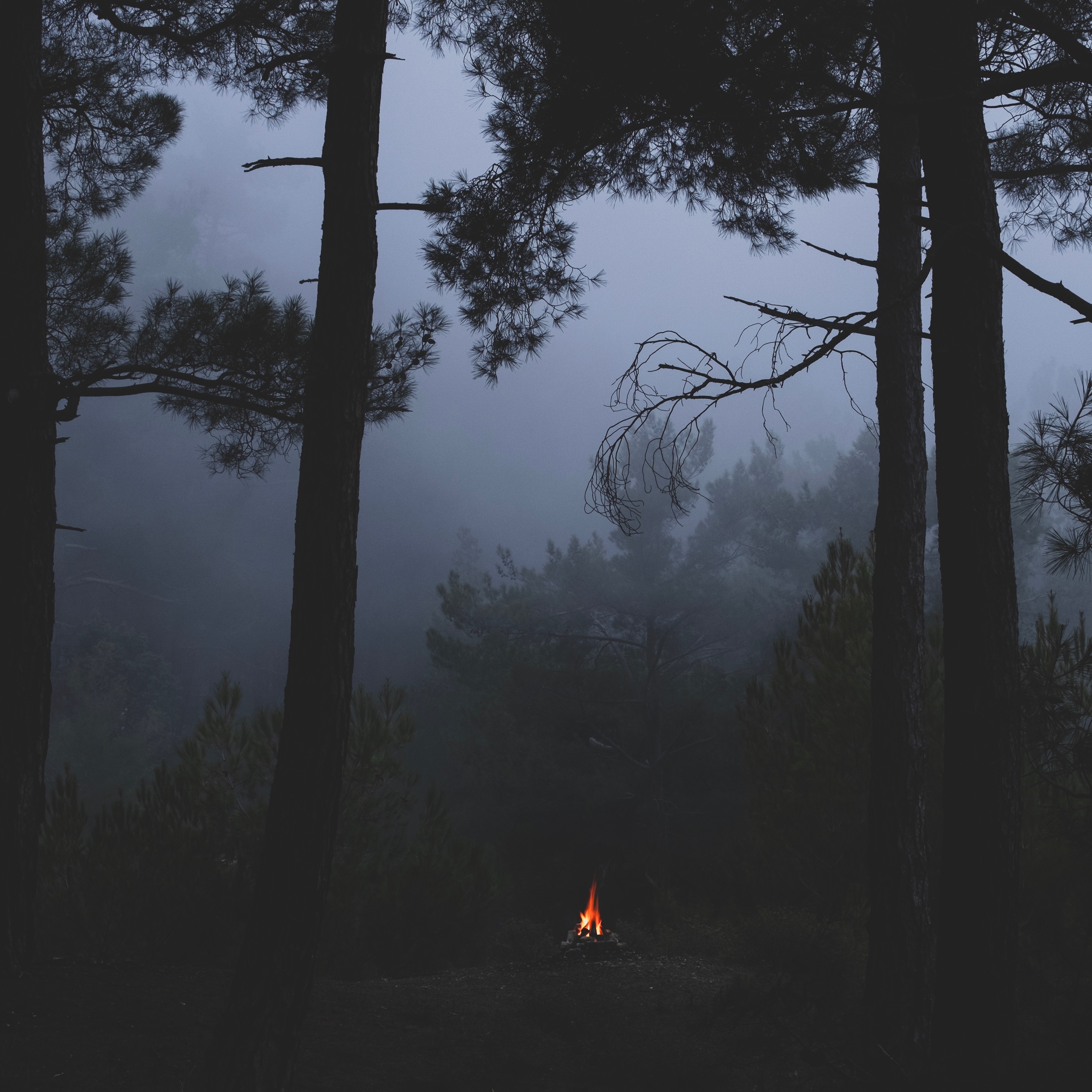 Embers - EP album cover