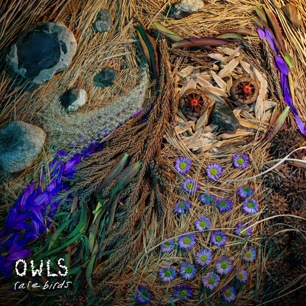 When the Night - Single album cover