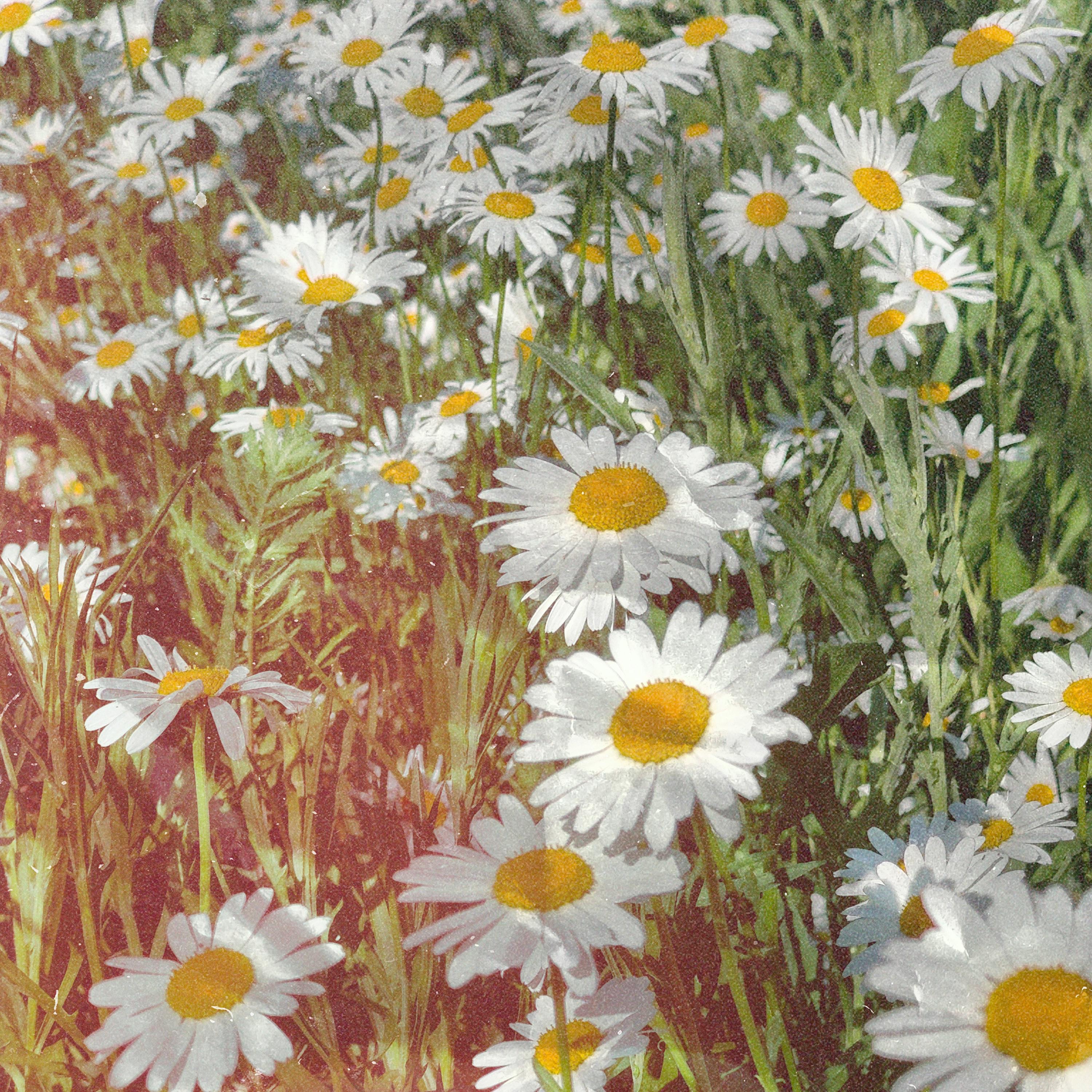 Yellow - Single album cover