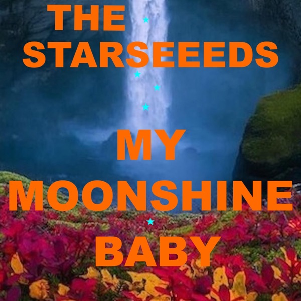 My Moonshine Baby - Single album cover