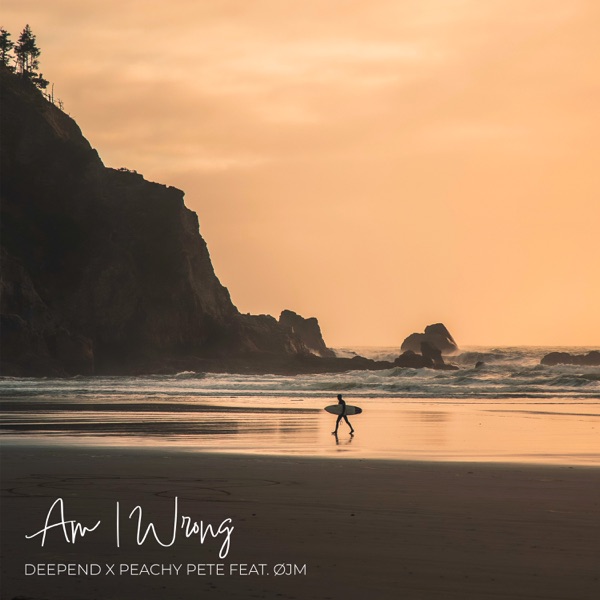 Am I Wrong (432 Hz Edit) [feat. OJM] - Single album cover
