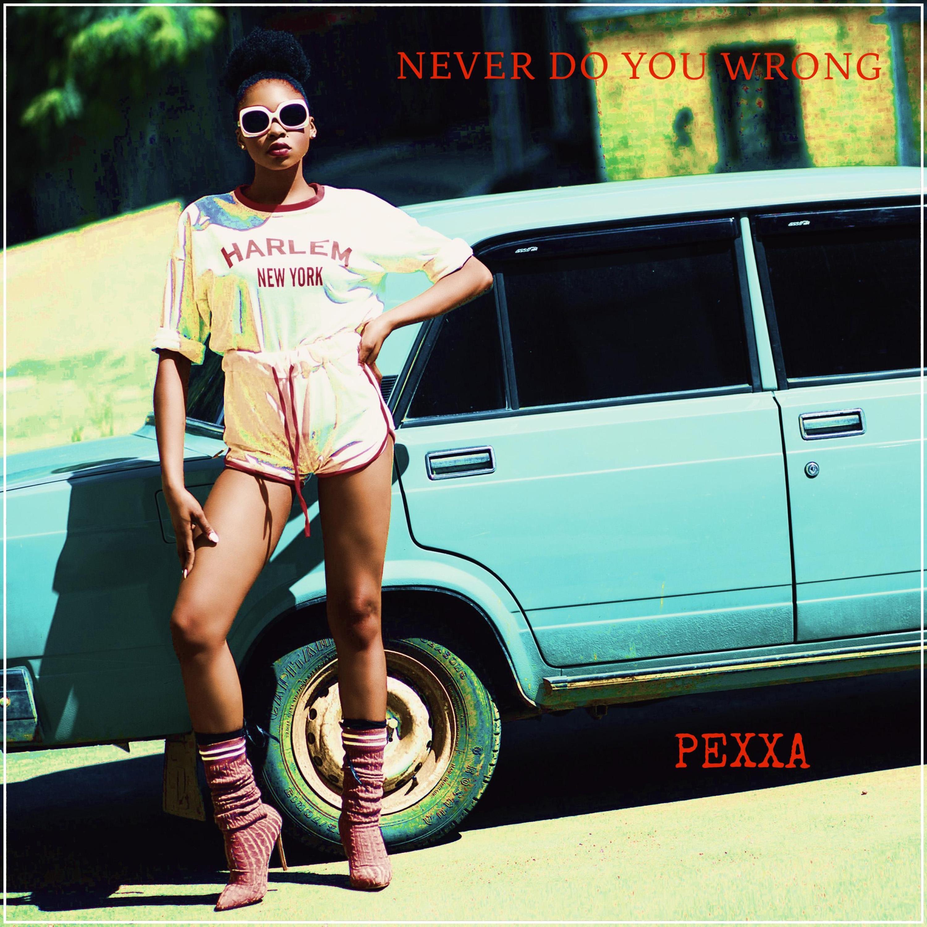 NEVER DO YOU WRONG (feat. RAHEEM DEVAUGHN) - Single album cover