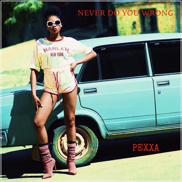 NEVER DO YOU WRONG (feat. RAHEEM DEVAUGHN) - Single album cover