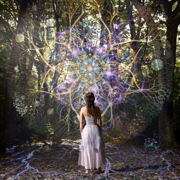 Patterns of Remedy album cover