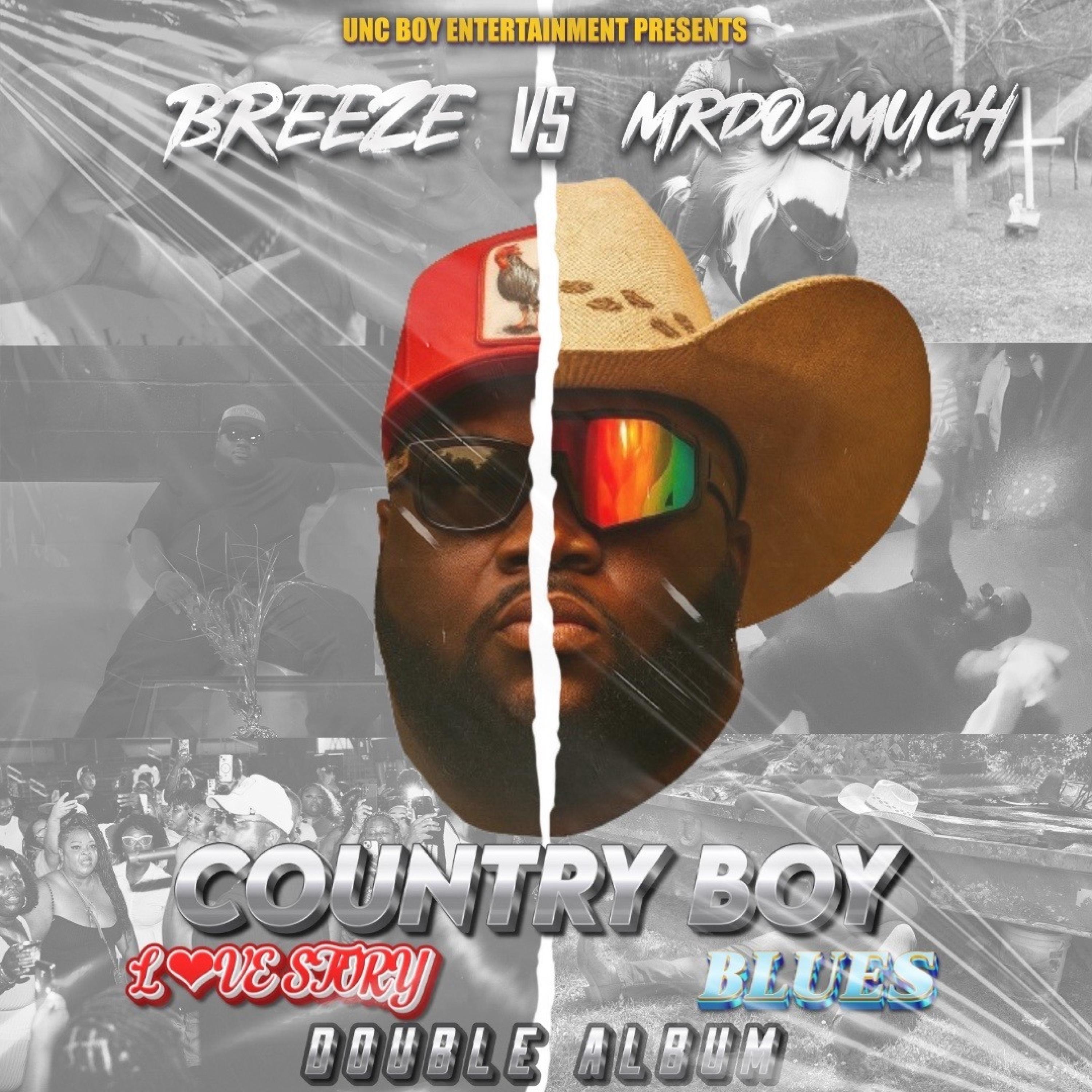 Country Boy Love Story/Blues album cover
