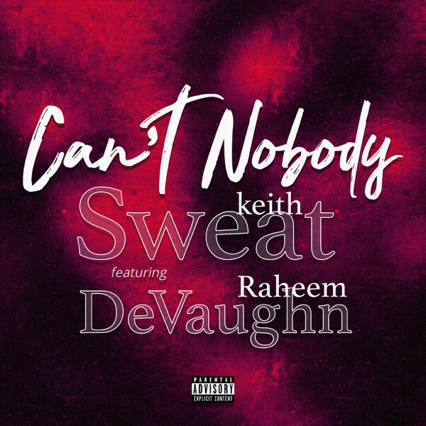 Can't Nobody (feat. Raheem DeVaughn) - Single album cover