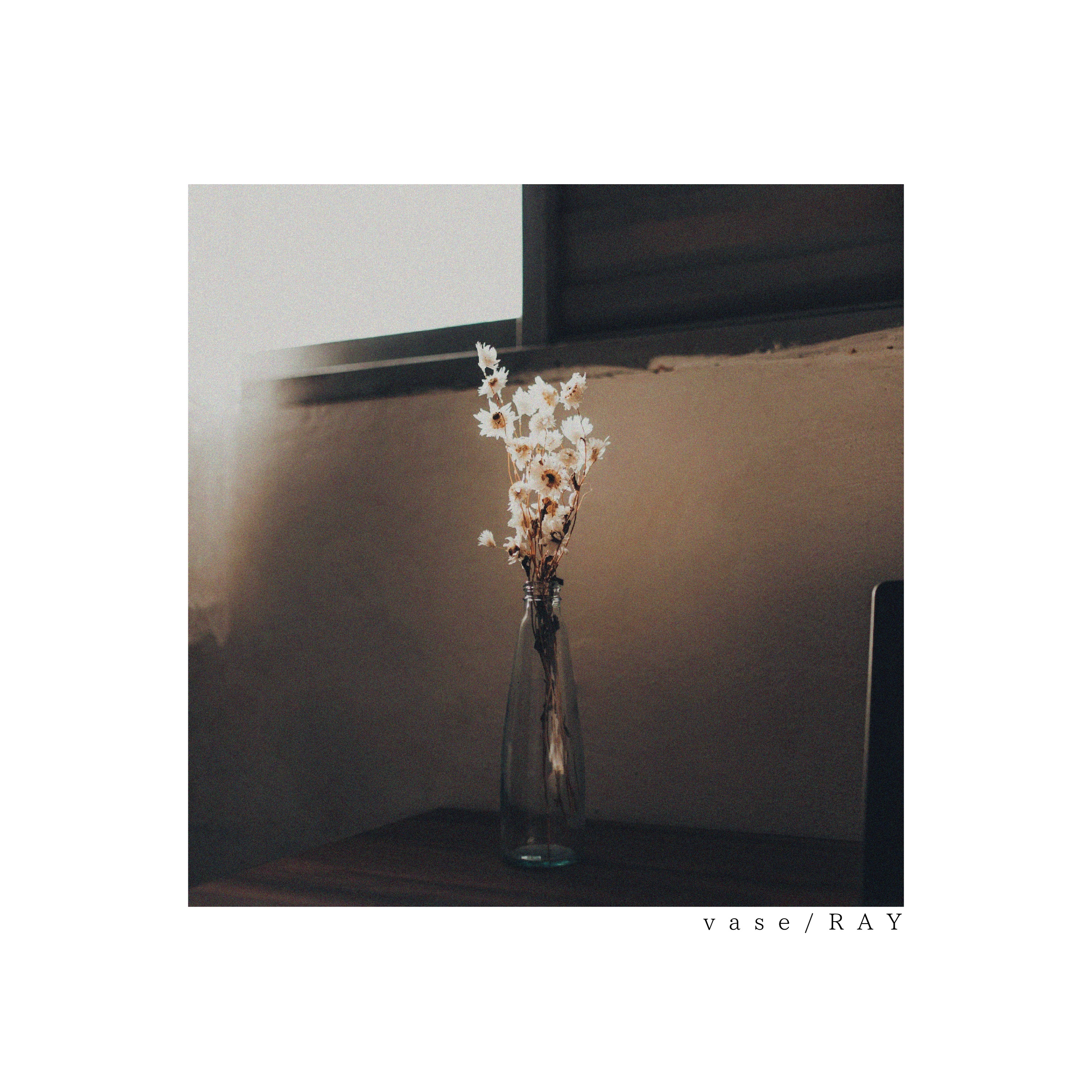 Vase - EP album cover