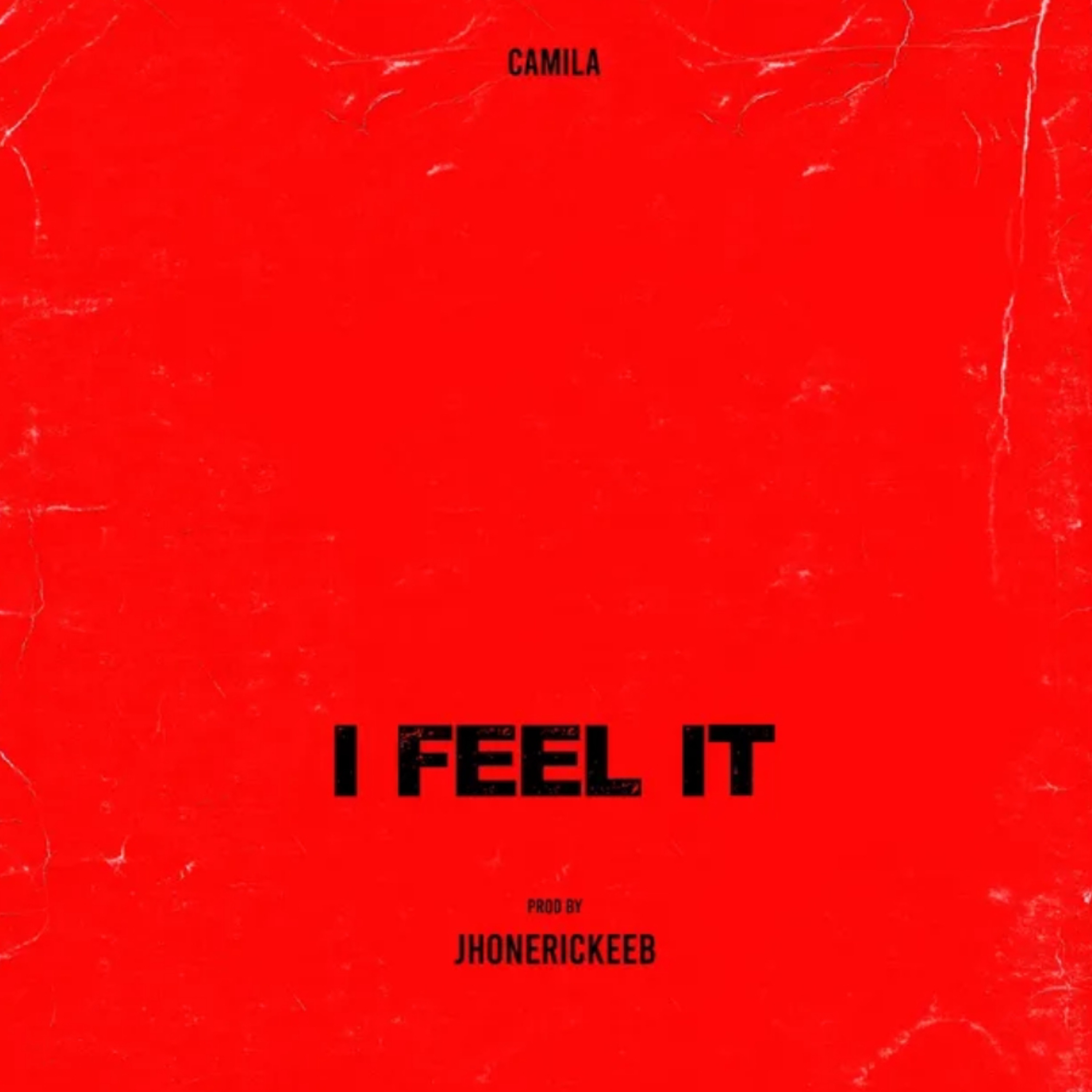 I FEEL IT - EP album cover