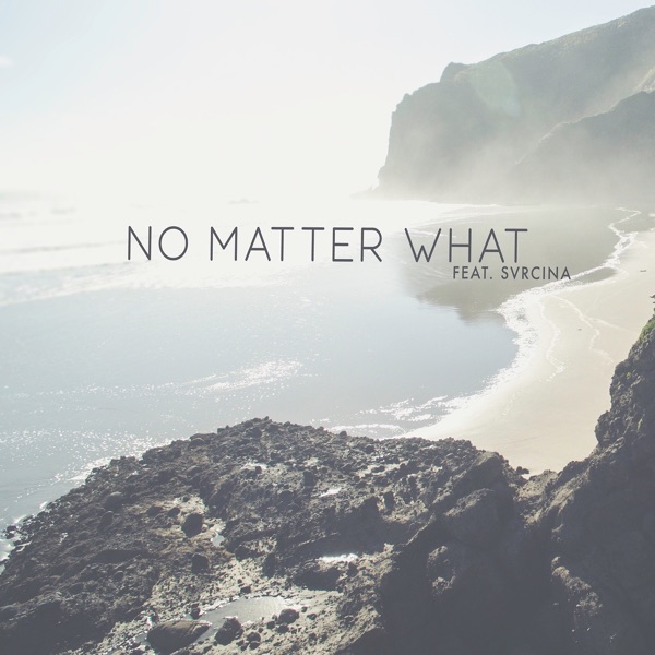 No Matter What (feat. Svrcina) - Single album cover