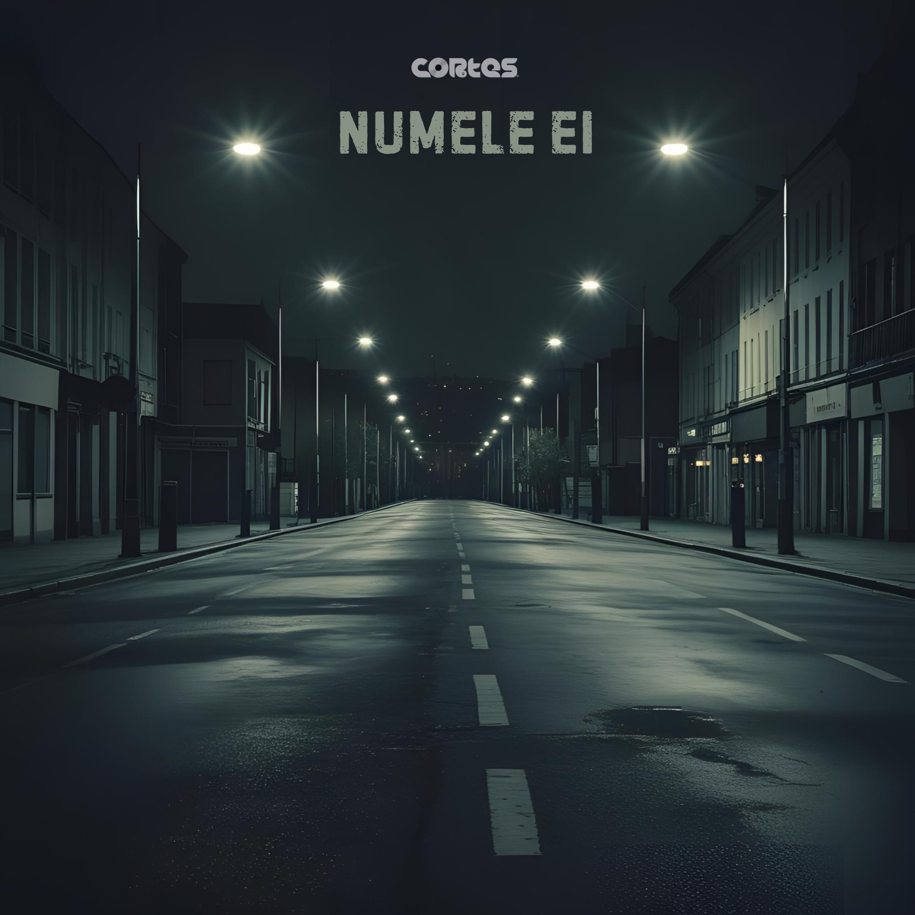 Numele ei - Single album cover