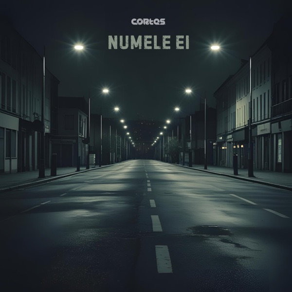 Numele ei - Single album cover