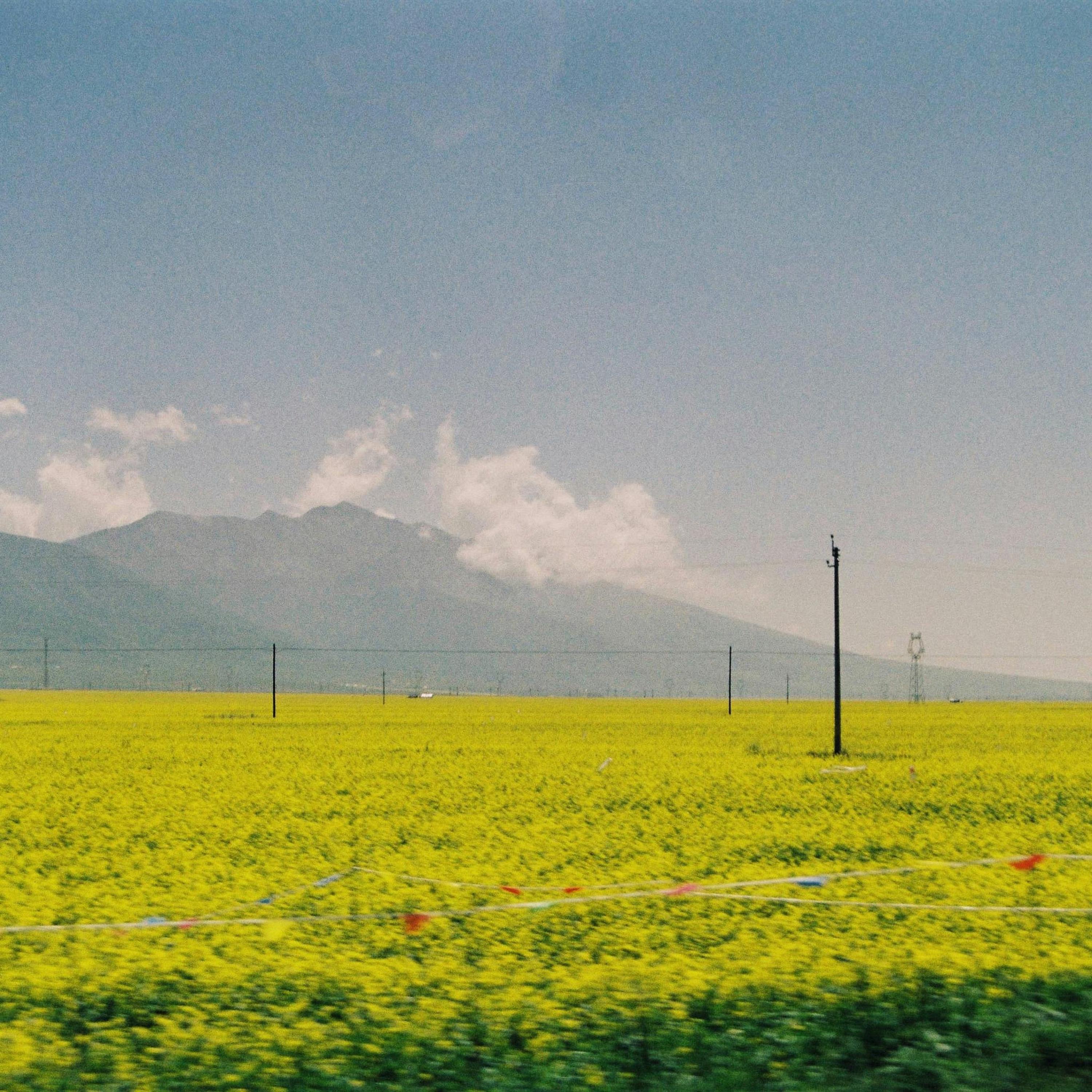 Bloom - Single album cover