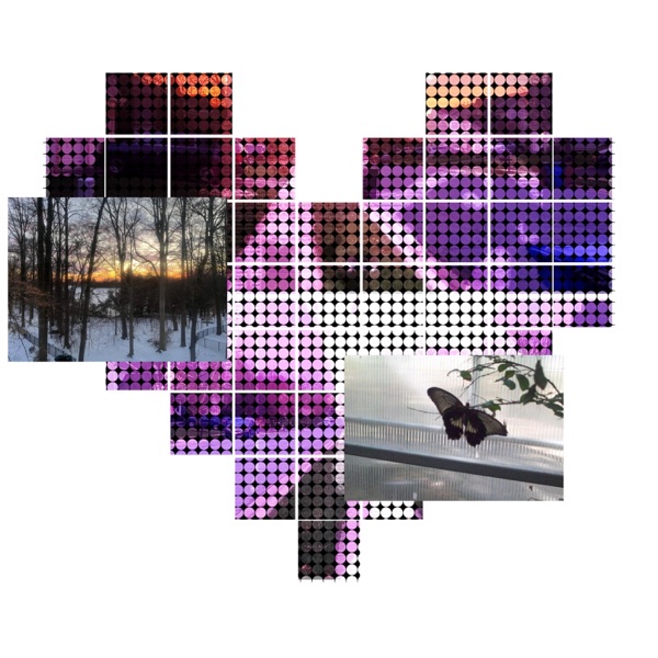 Fragile (feat. Seph) - Single album cover