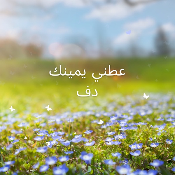 عطني يمينك دف album cover