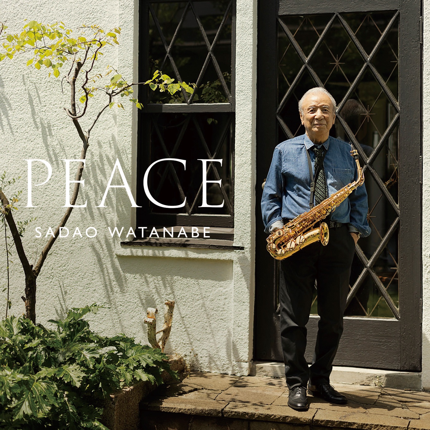 Peace album cover
