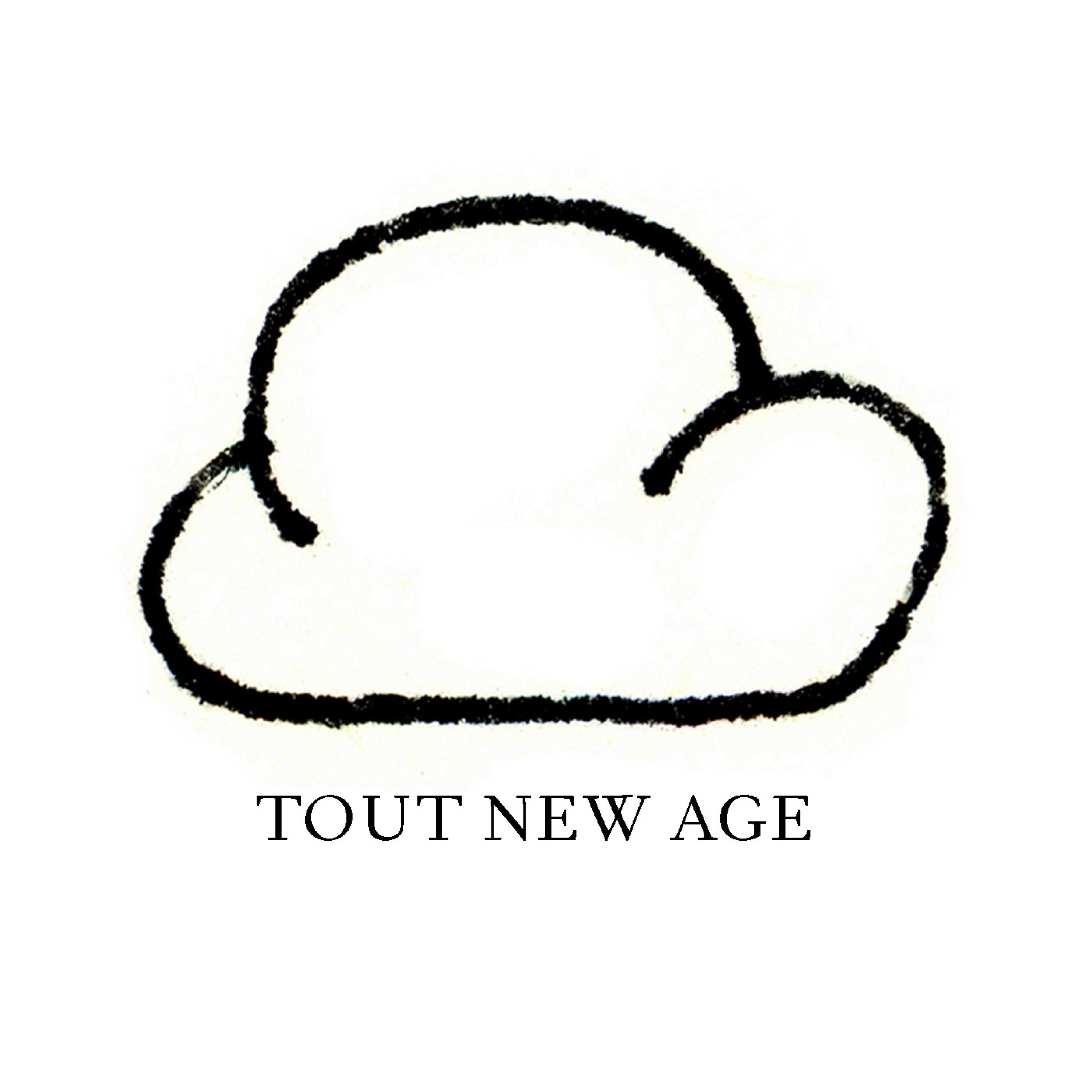 TOUT NEW AGE album cover