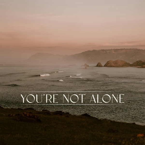 You're Not Alone (&friends Remix) - Single album cover