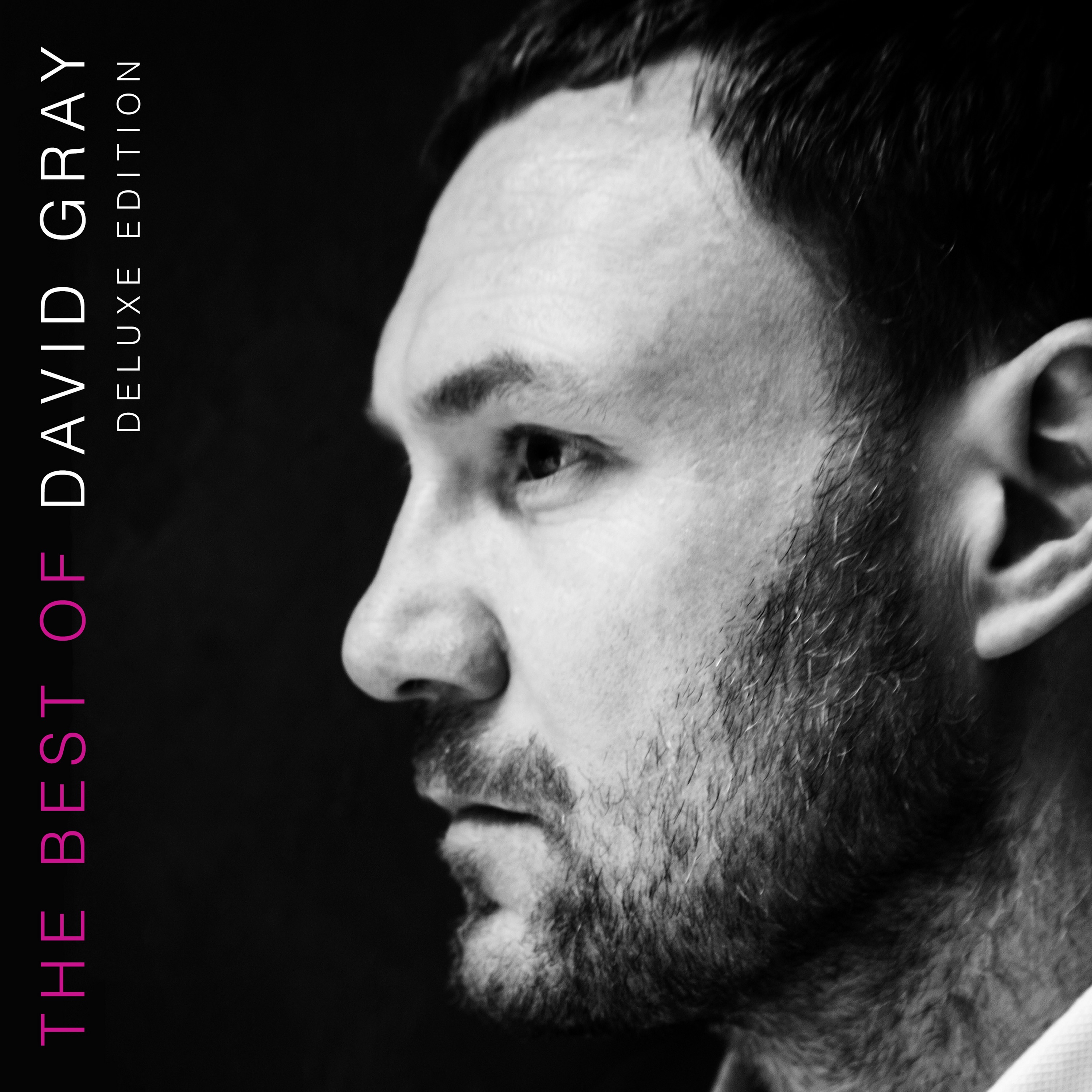 The Best of David Gray (Deluxe Edition) album cover
