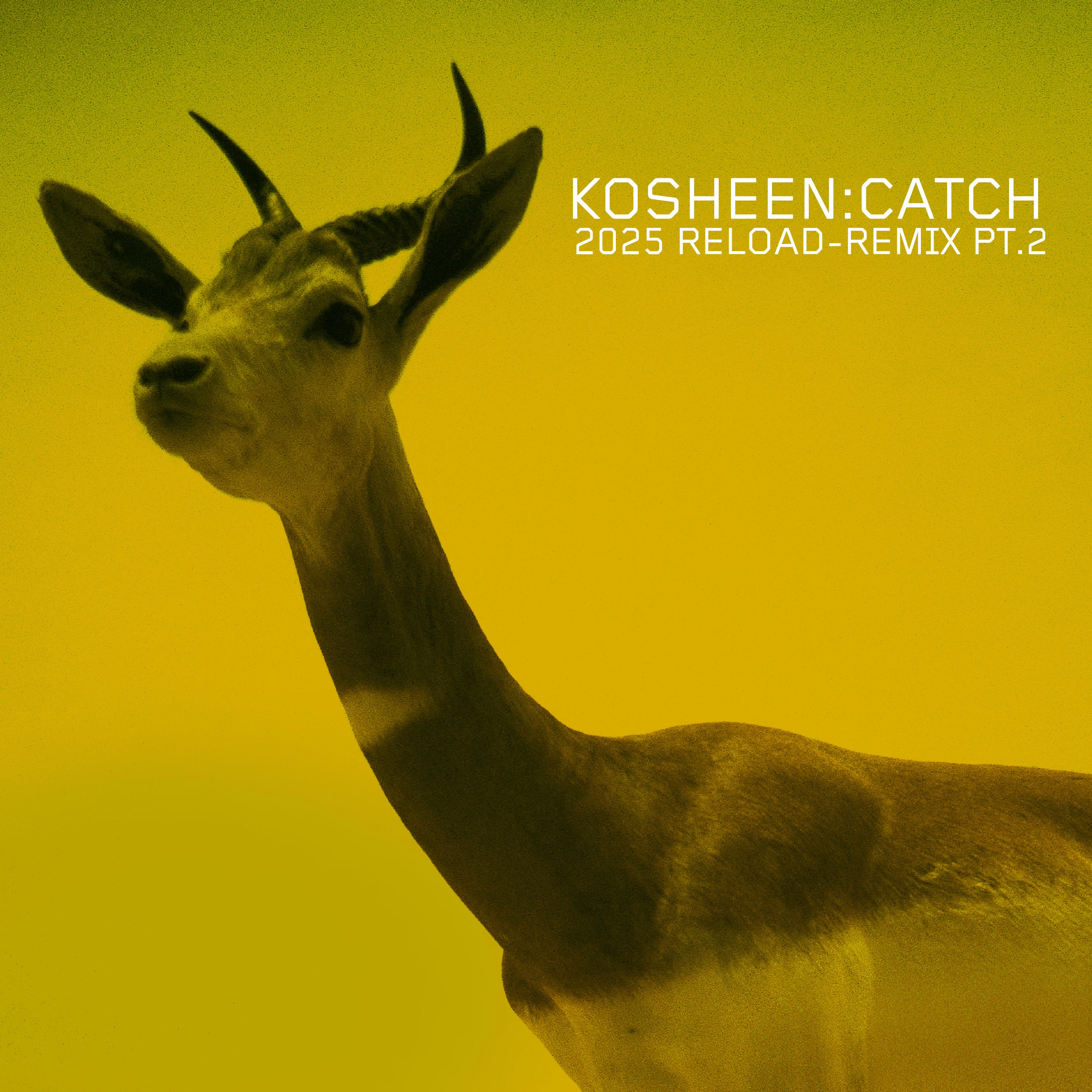 Catch (2025 Reload-Remix, Pt.2) - Single album cover