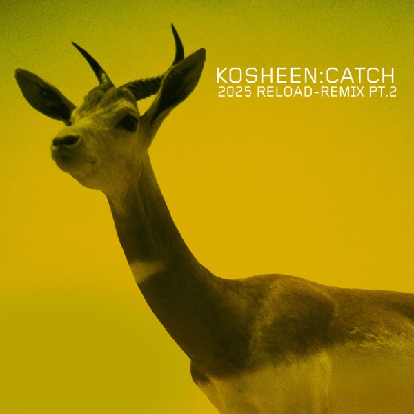 Catch (2025 Reload-Remix, Pt.2) - Single album cover