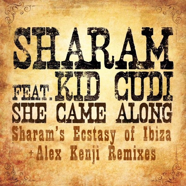 She Came Along (feat. Kid Cudi) [Remixes] album cover