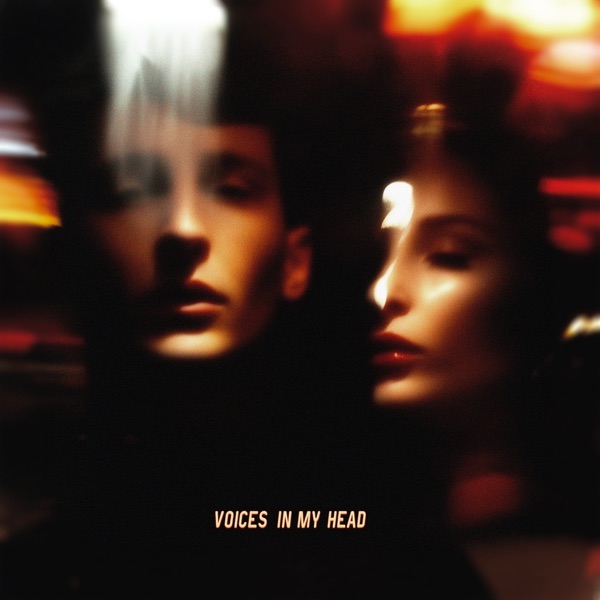 Voices in My Head - Single album cover