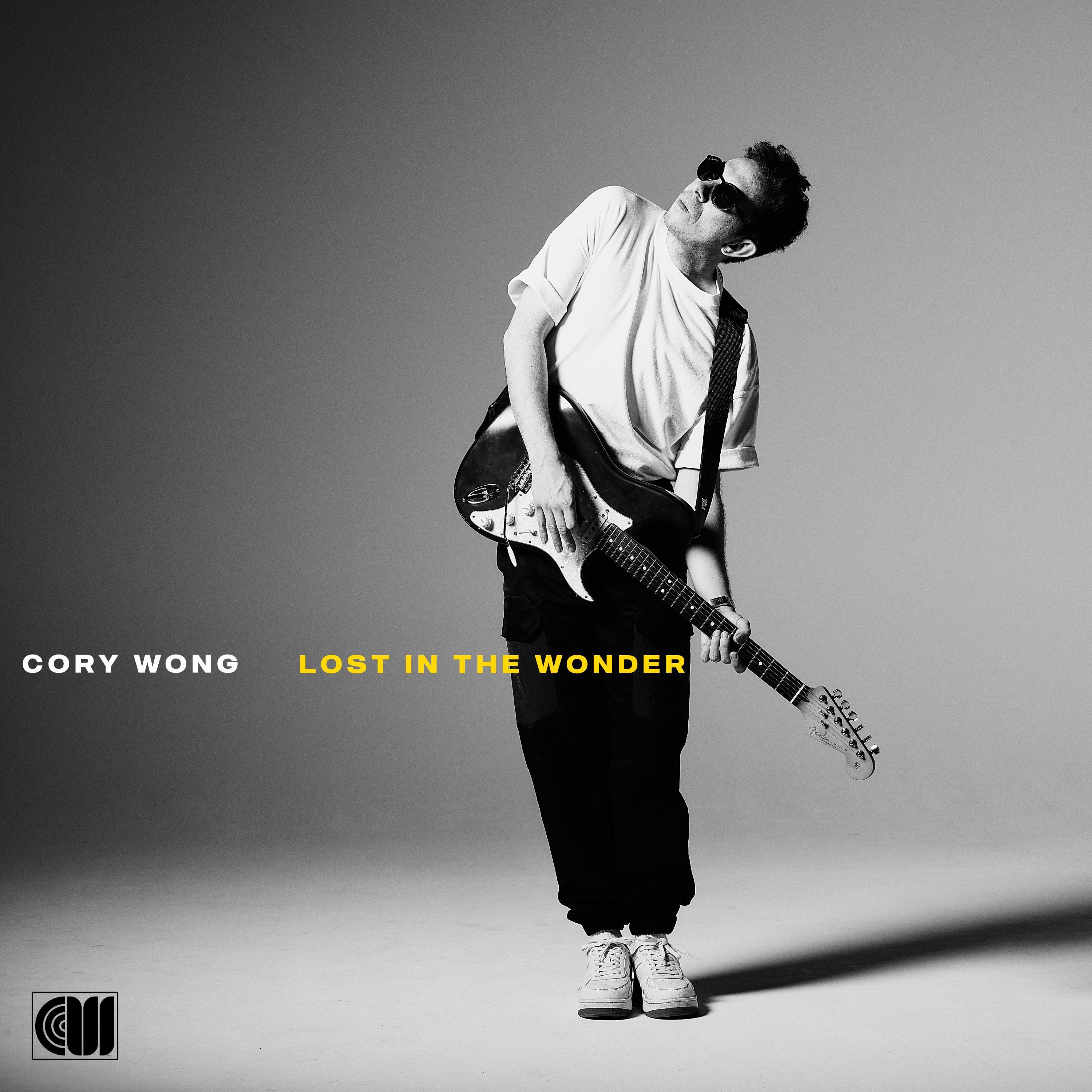 Lost In The Wonder album cover