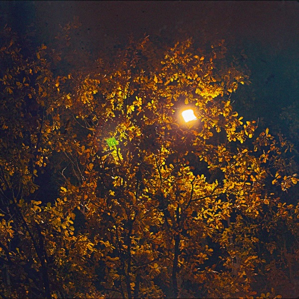 поздней ночью - Single album cover
