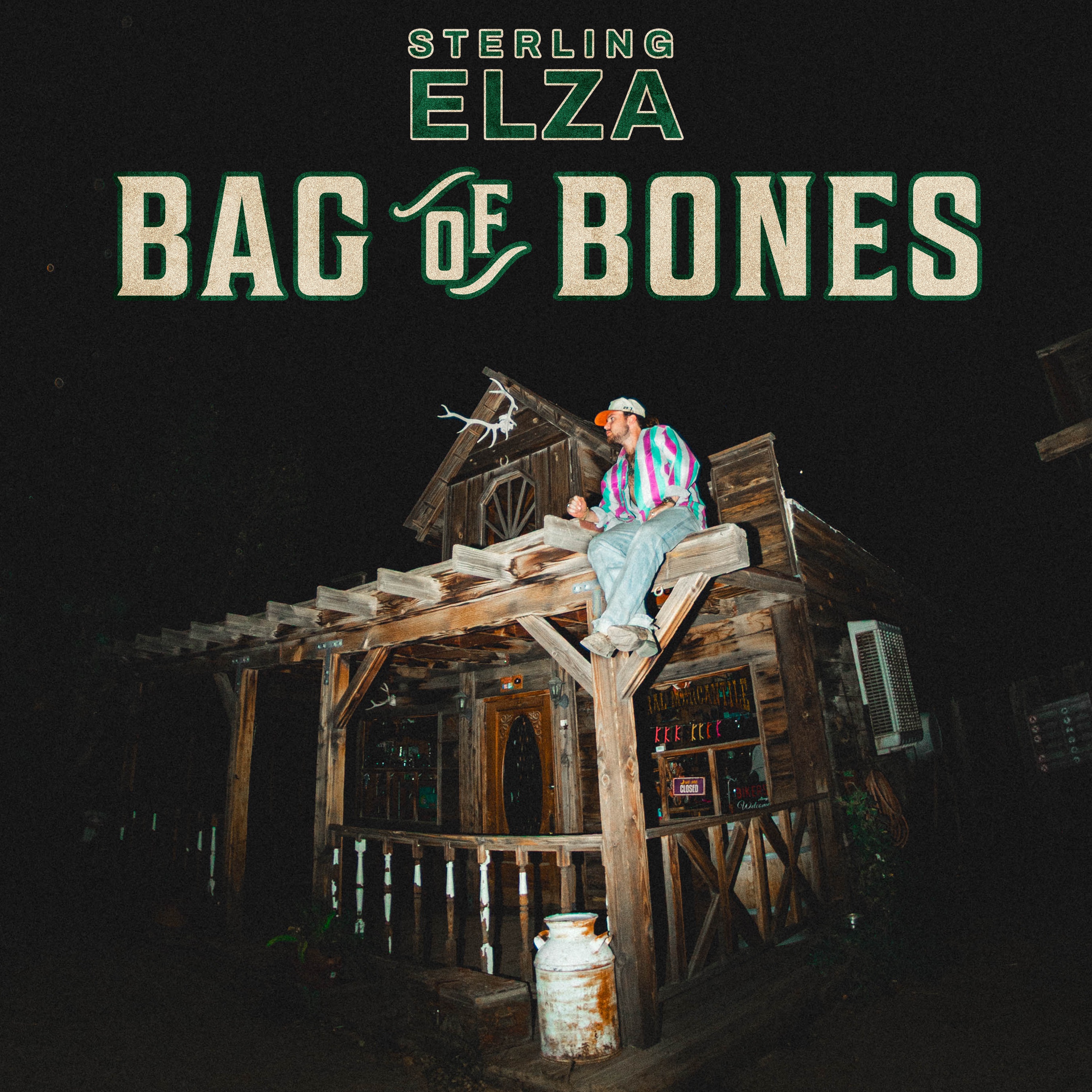 Bag of Bones - EP album cover