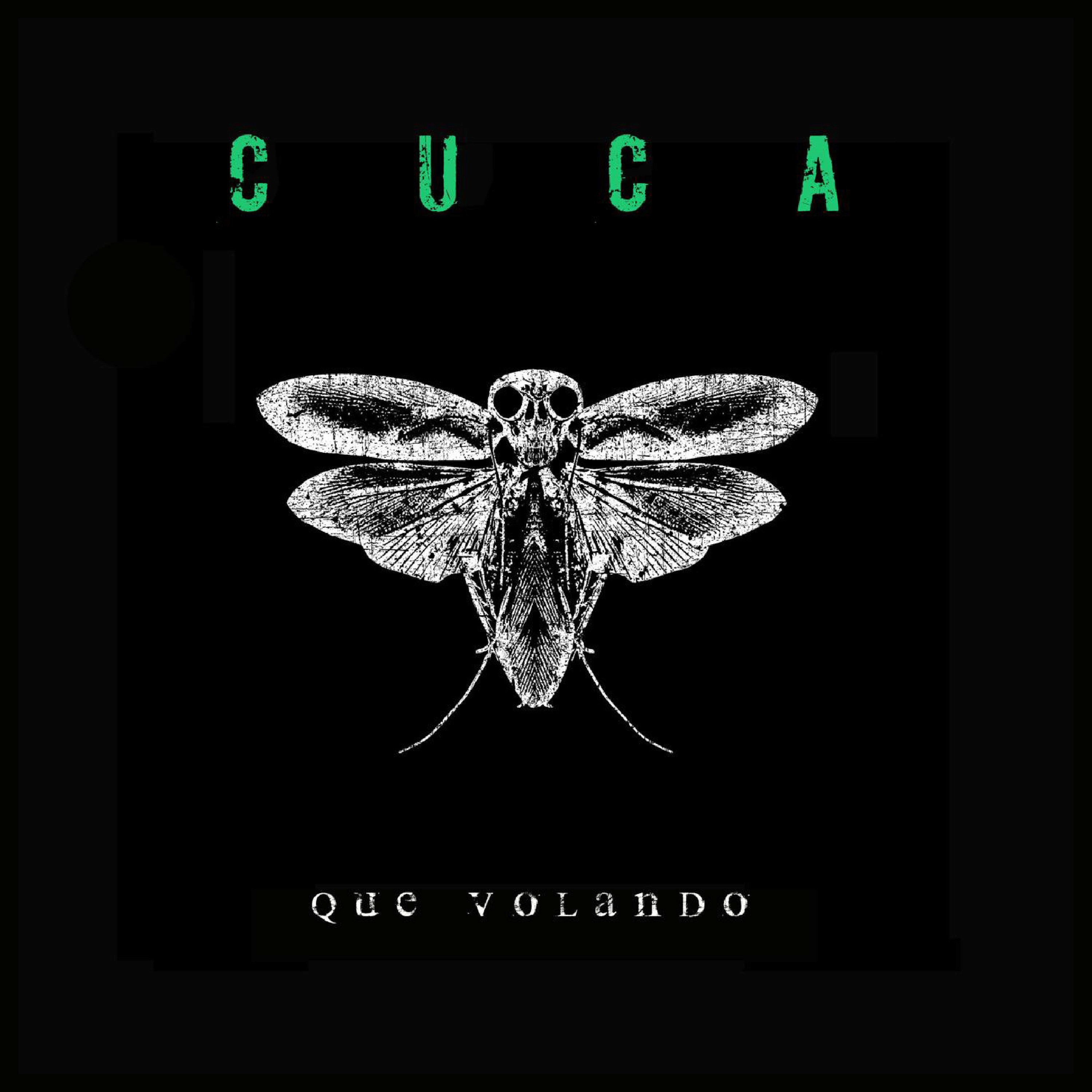 Que volando - Single album cover