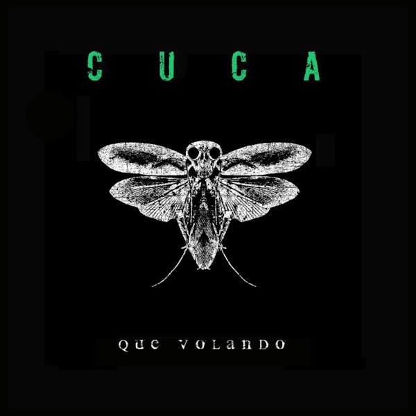 Que volando - Single album cover