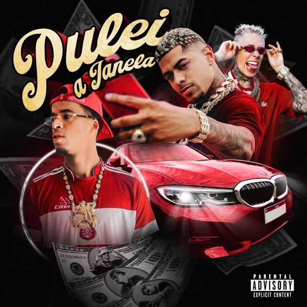 Pulei a Janela - Single album cover