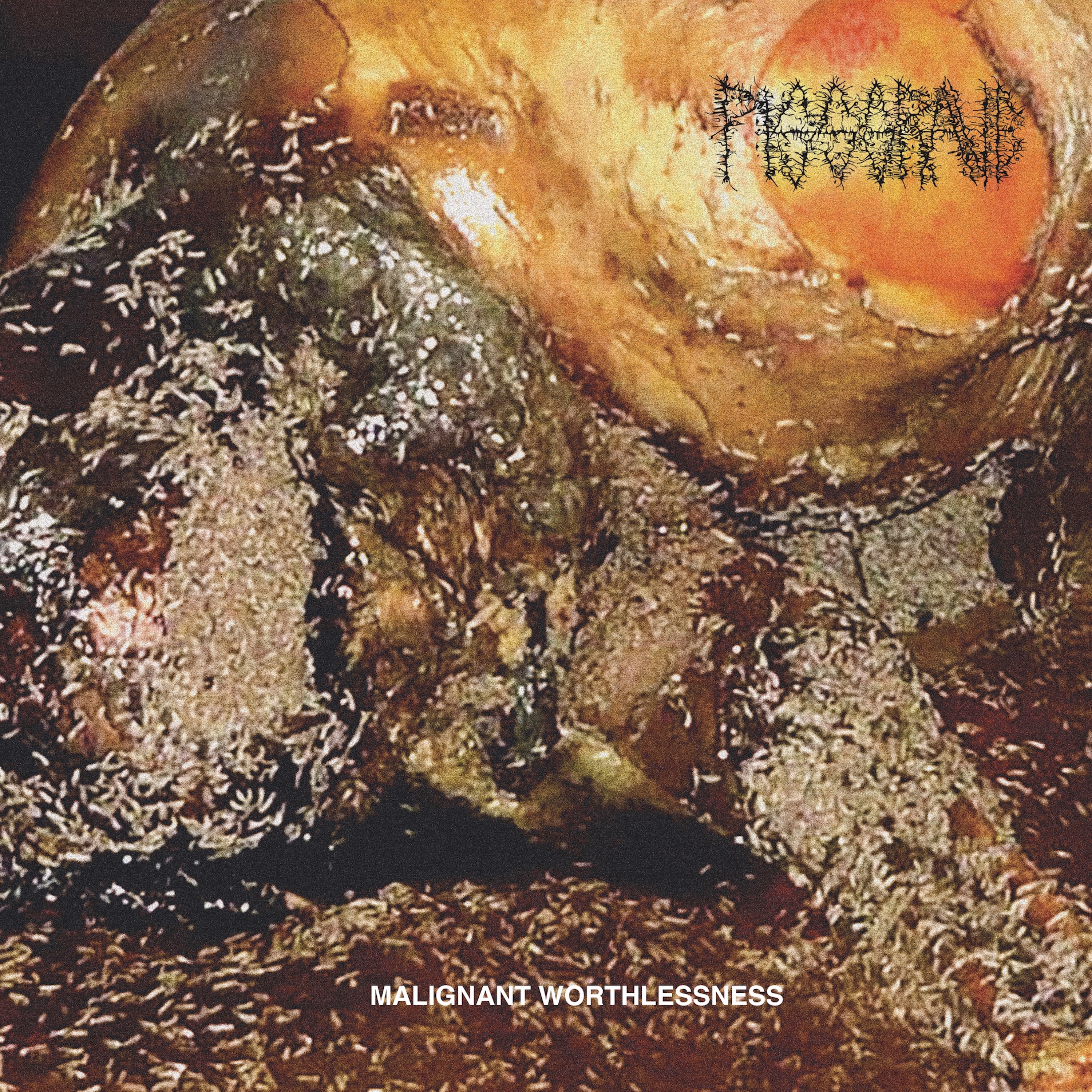 Malignant Worthlessness album cover