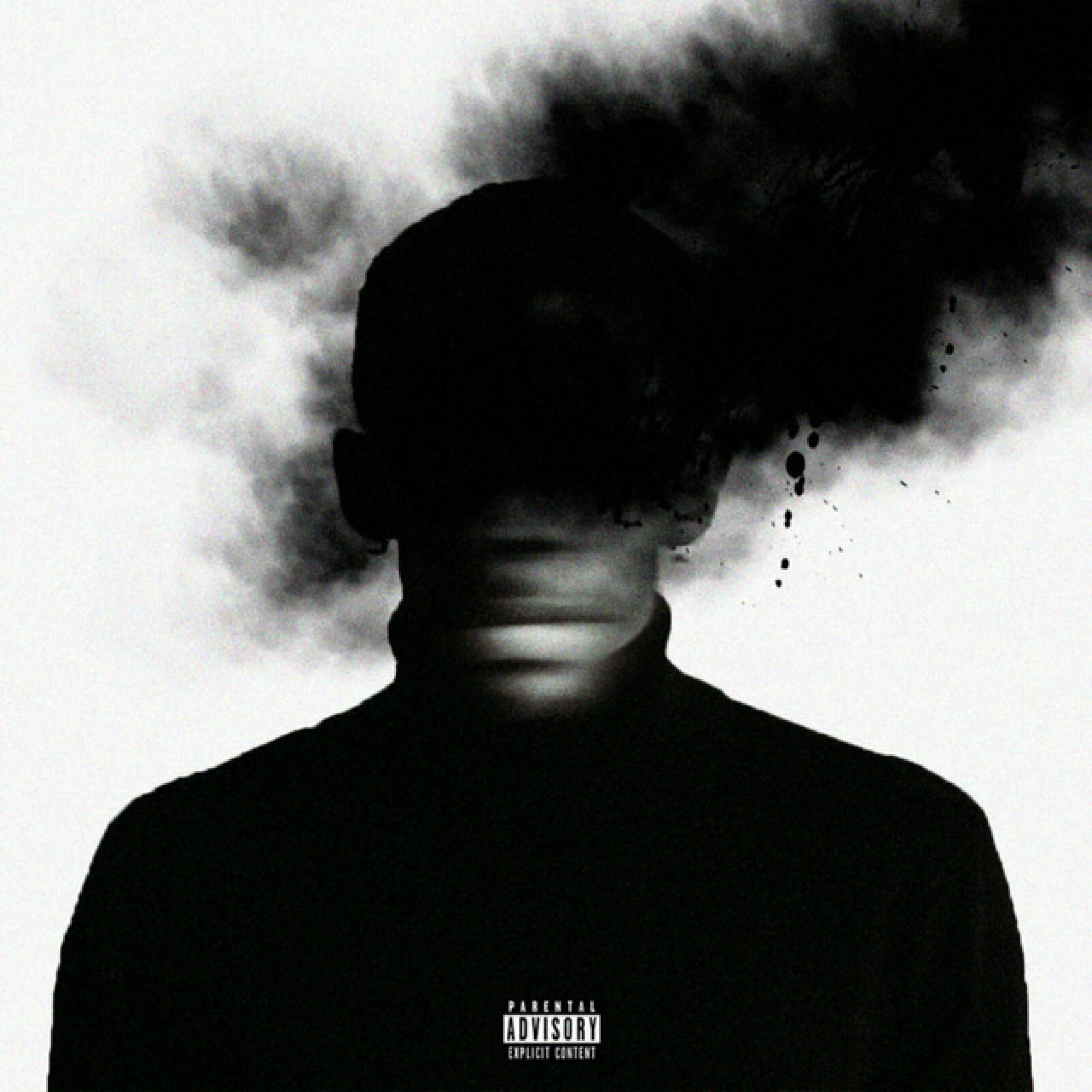 Nehruvia: My Disregarded Thoughts album cover