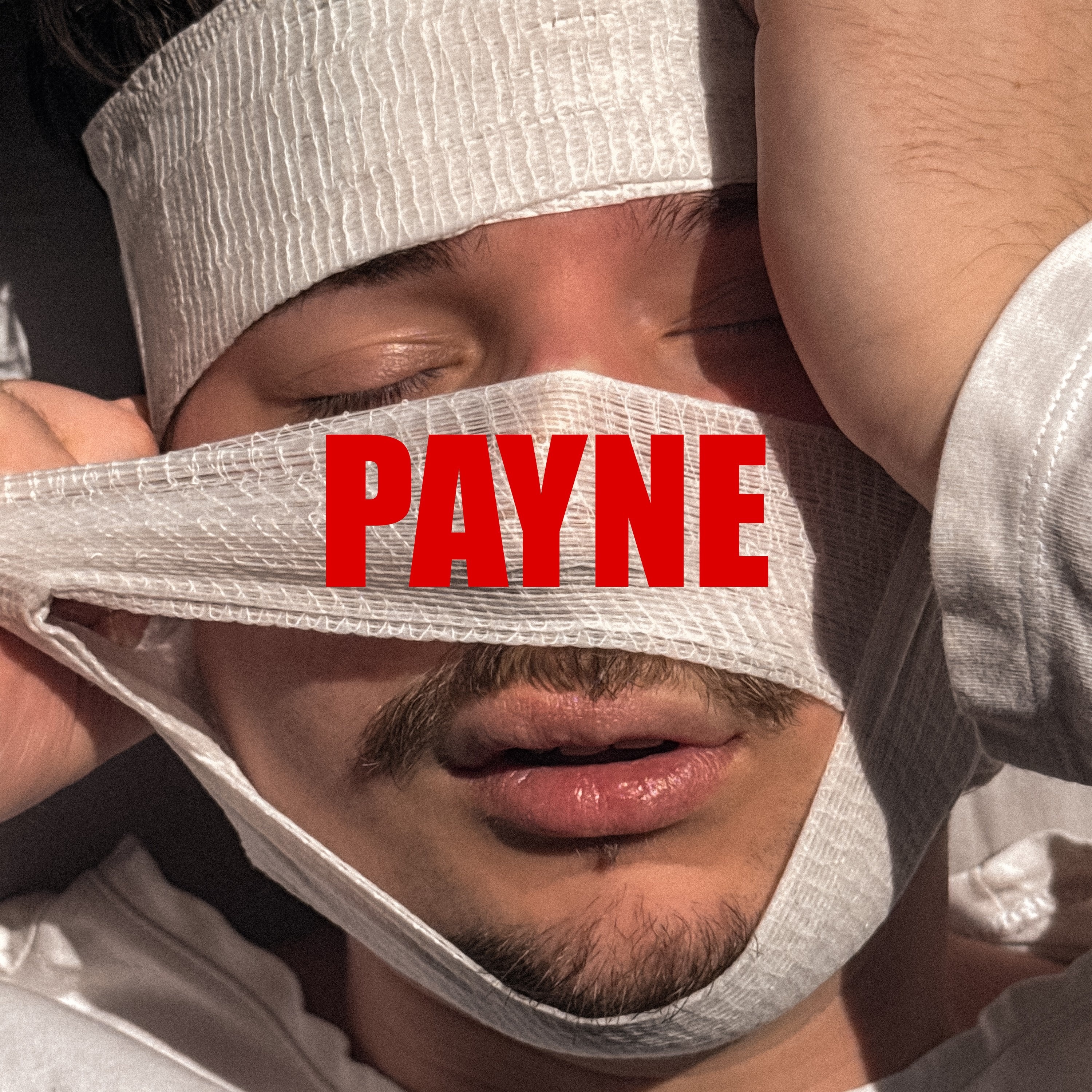 payne album cover