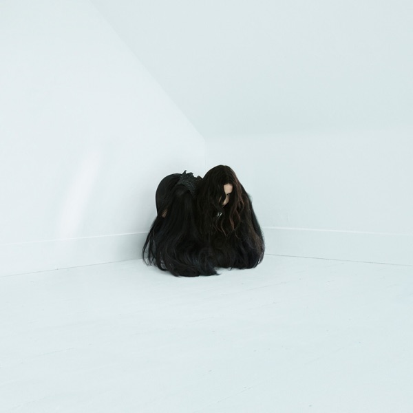 Hiss Spun album cover