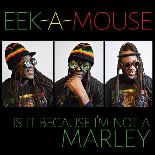 Is It Because I'm Not a Marley - Single album cover