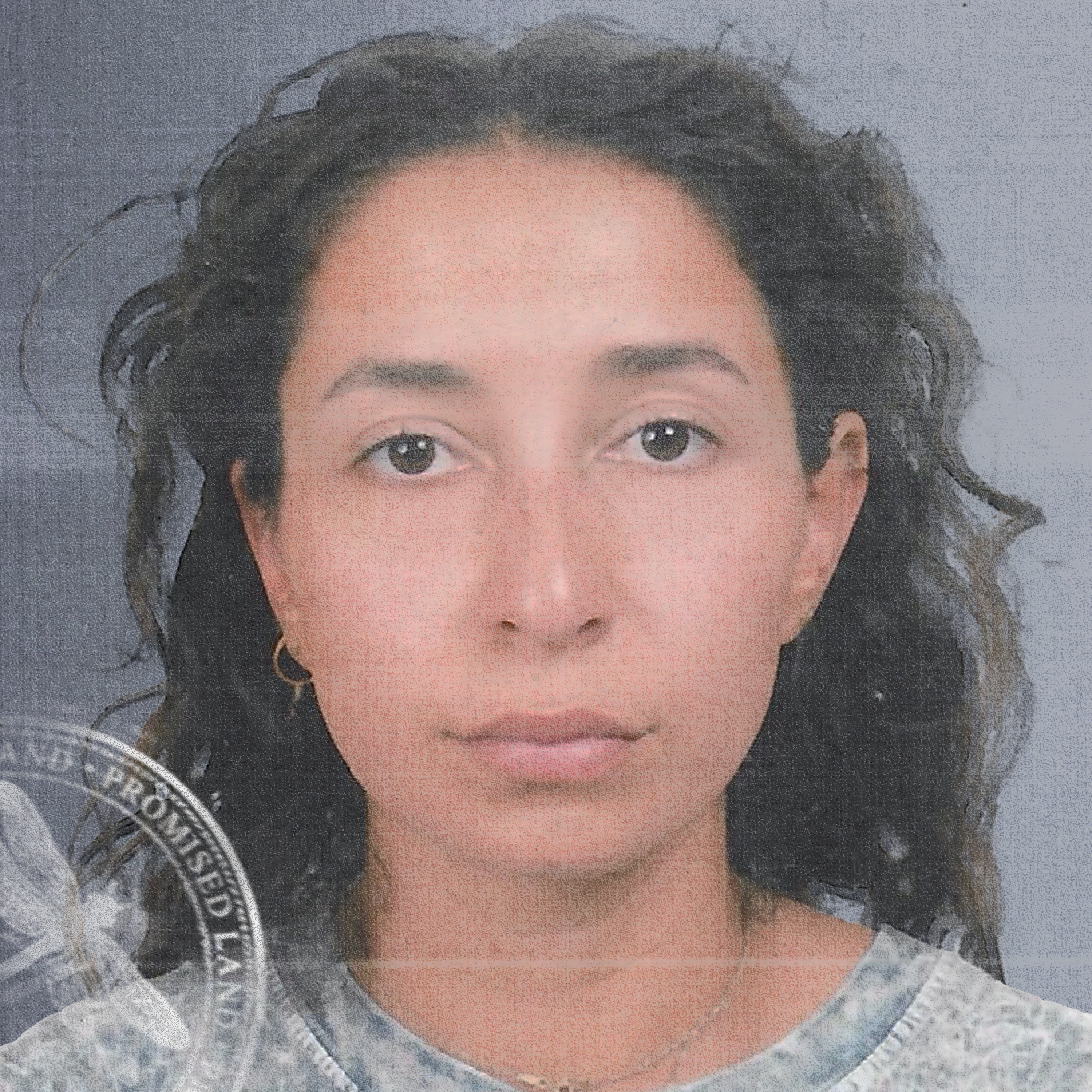 Promised Land album cover