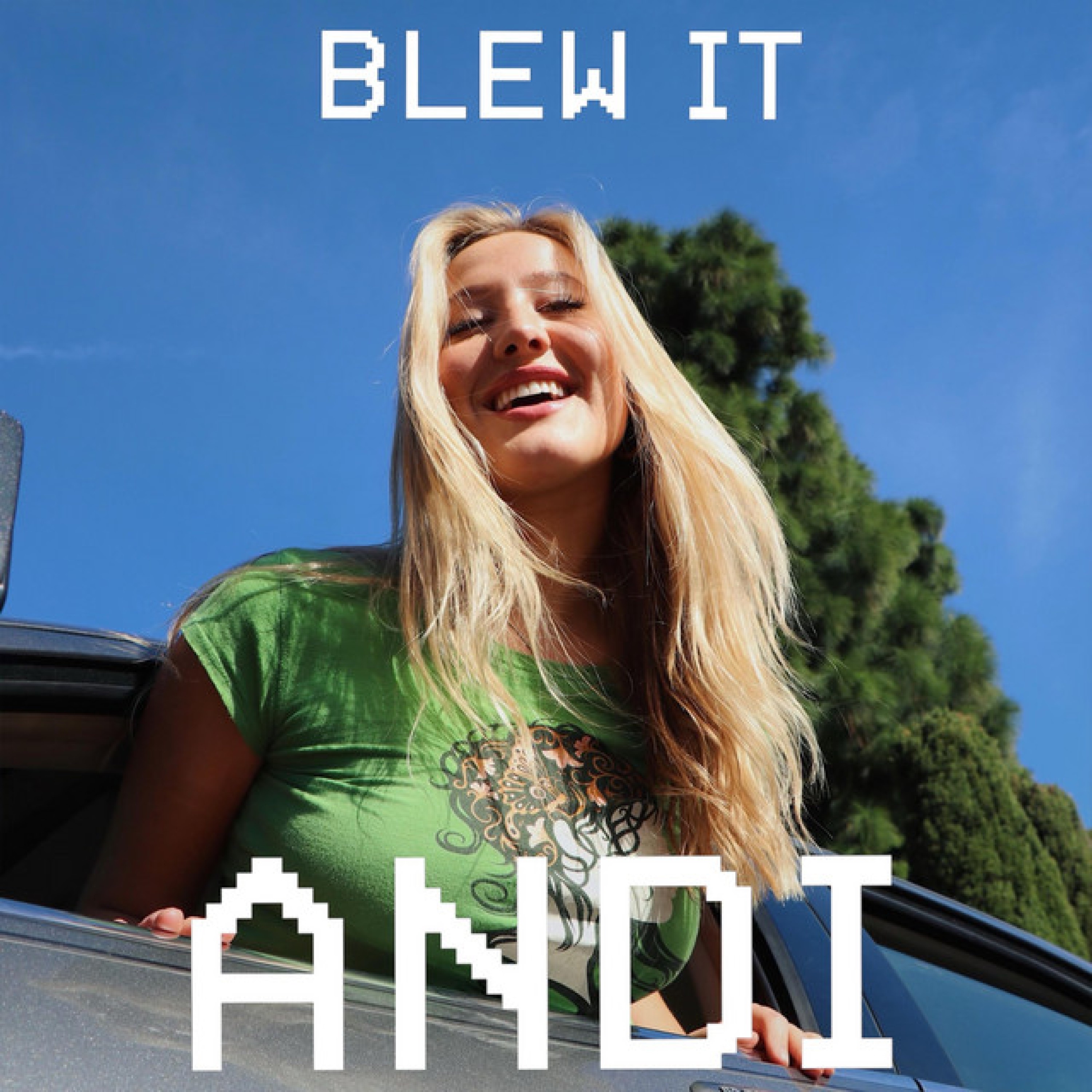 Blew It - Single album cover