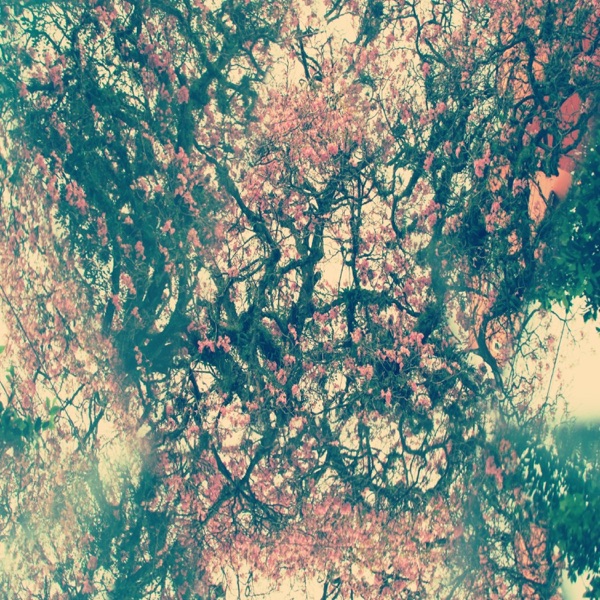 Staring Into Spaces (II) - Single album cover