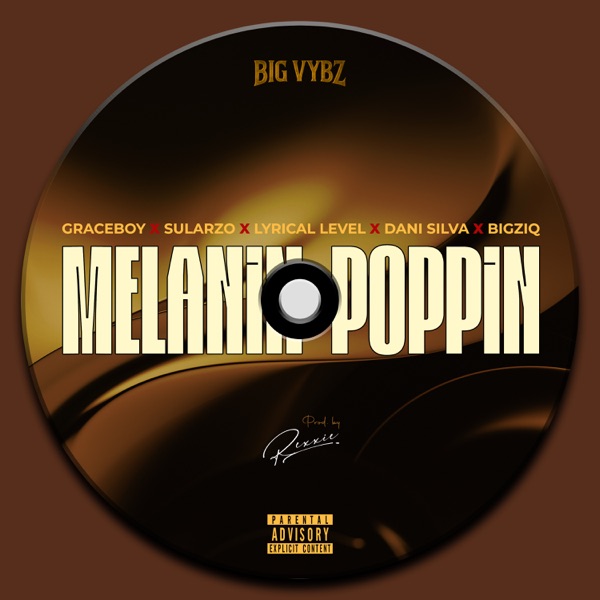 Melanin Poppin (feat. Graceboy, Sularzo, Lyrical Level, Dani Silva & BigzIQ) - Single album cover